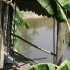 Udon Thani - Fishing pond