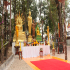 Thai Temples - Wat Pha Tak Sua 03