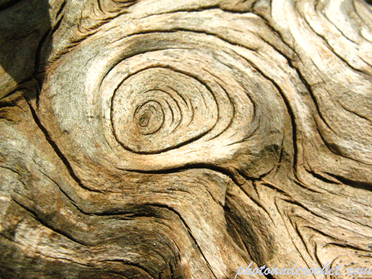 Wood - Image