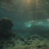 Cirkewwa reef - Image