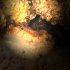 Common prawn - Palaemon serratus - Hiding in the dark