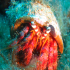 Hermit Crab - Dardanus arrosor - Pretty face