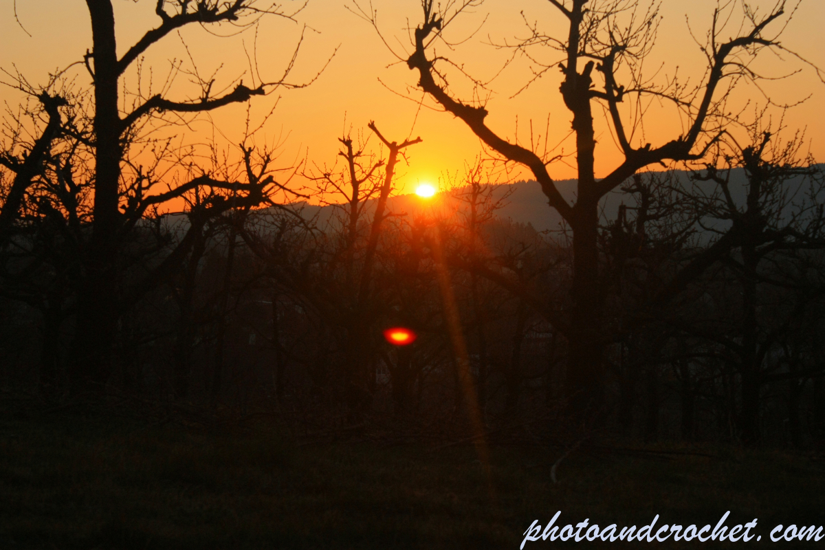 Sunrise - Image