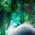 Black-Blotched Porcupinefish - Diodon liturosus - Hiding
