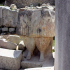 Historic Remains - Tarxien Temples - 03