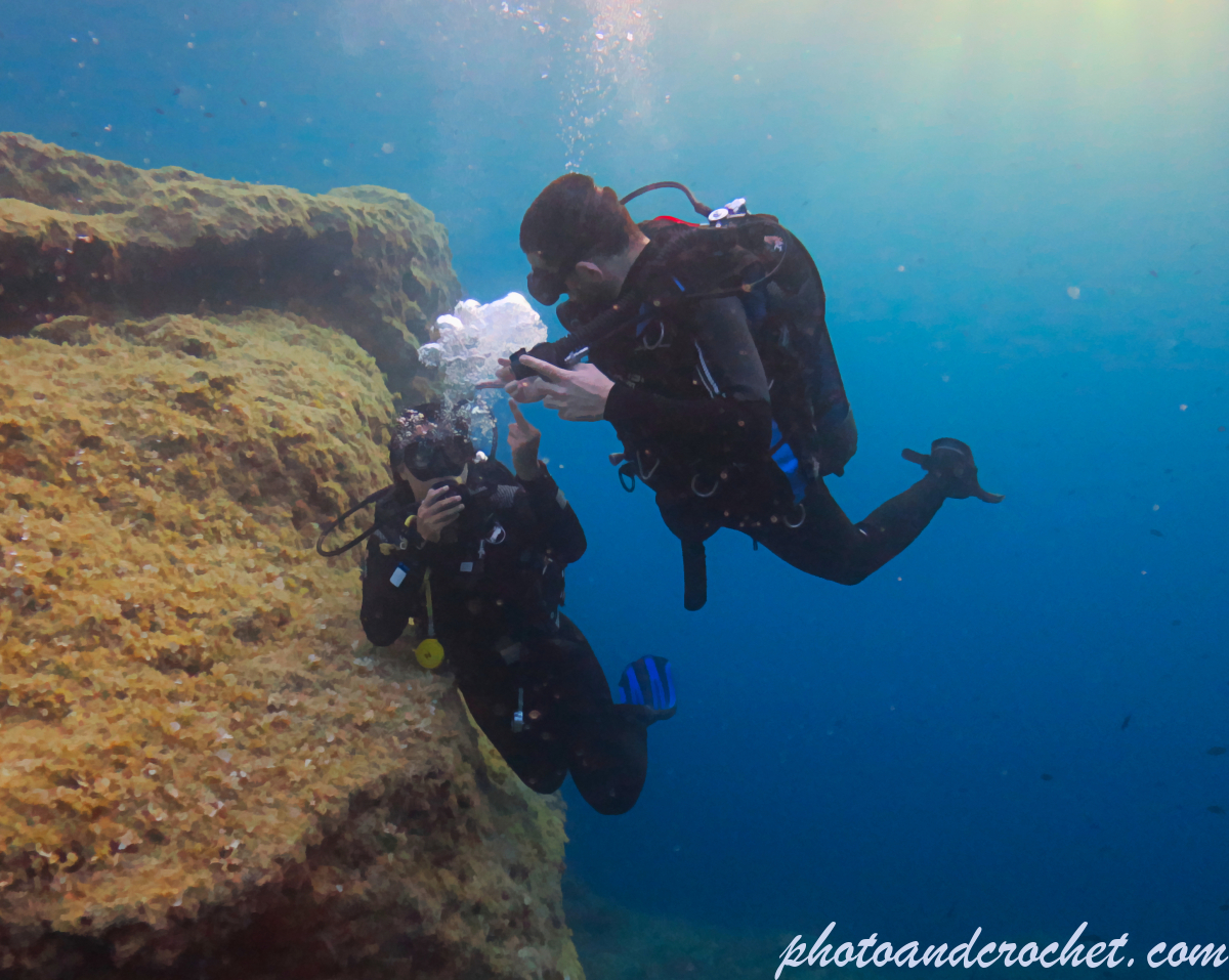 Divers - Image