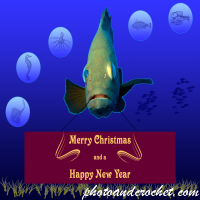 Christmas Card - Image