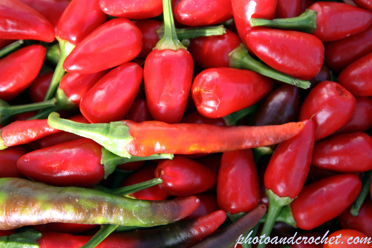 Chilly Pepper - Image