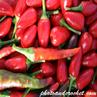 Chilly Pepper - Image