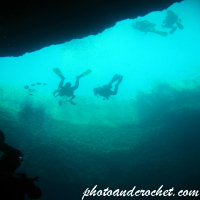 Diver - Image