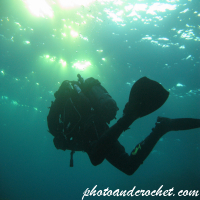 Diver - Image
