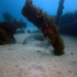 HMS Maori - Buried Remains