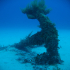 Admiralty anchor - Lost at Cirkewwa reef