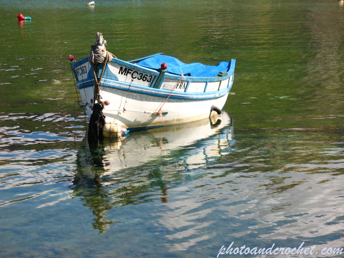 Nautical - Maltese Daisa - Image