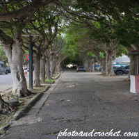 Noto - The Village - Image