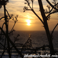 Sunset - Ocean view - Image