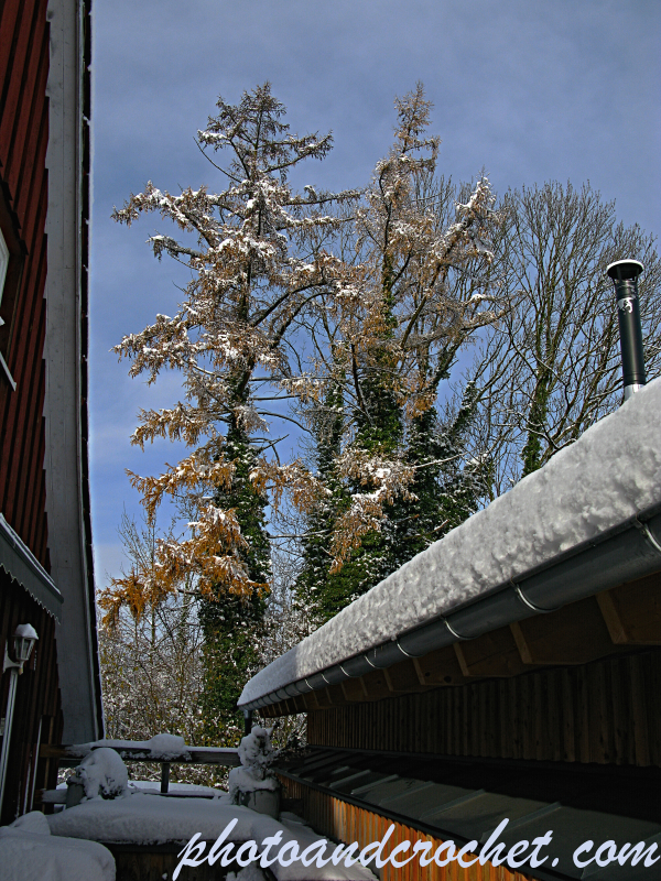 Weissensberg - Winter wonderland - Image