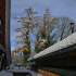 Weissensberg - Winter wonderland - Image