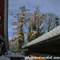 Weissensberg - Winter wonderland - Image