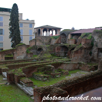 Rome - Backyard findings _ Image