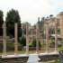 Rome - Forum Romanum - Image