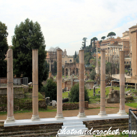 Rome - Forum Romanum - Image