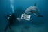 Deep Sea Birthday Encounter – Image