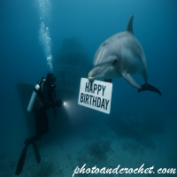 Deep Sea Birthday Encounter – Image