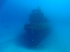 Tug Rozi - Surviving