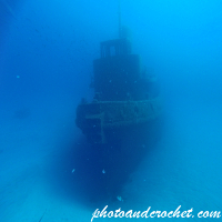 Tug Rozi - Surviving