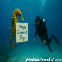 Mother’s Day Card – Underwater - Image