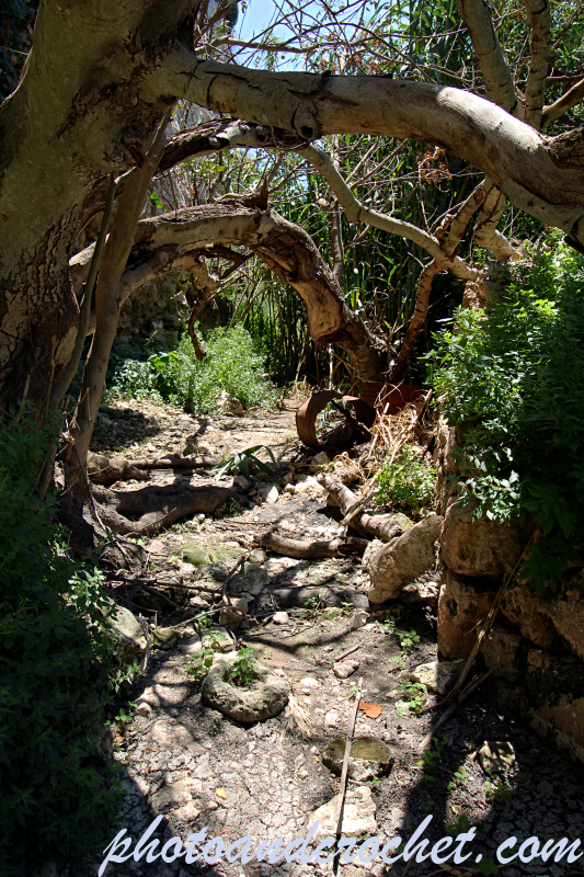 Mellieha - L-Għar u Casa - Image