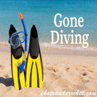 Gone Diving E-Card – Snorkeling Gear on Sunny Beach - Image