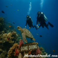 Gone Diving Coral Reef Scene – Divers and Turtle Underwater E-Card