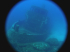 Wrecks - Tug 2 - In milky waters - Image