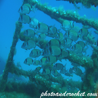 Wrecks - Tug 2 - Image