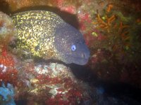 689f1622e1144_img_5998_uw_140825