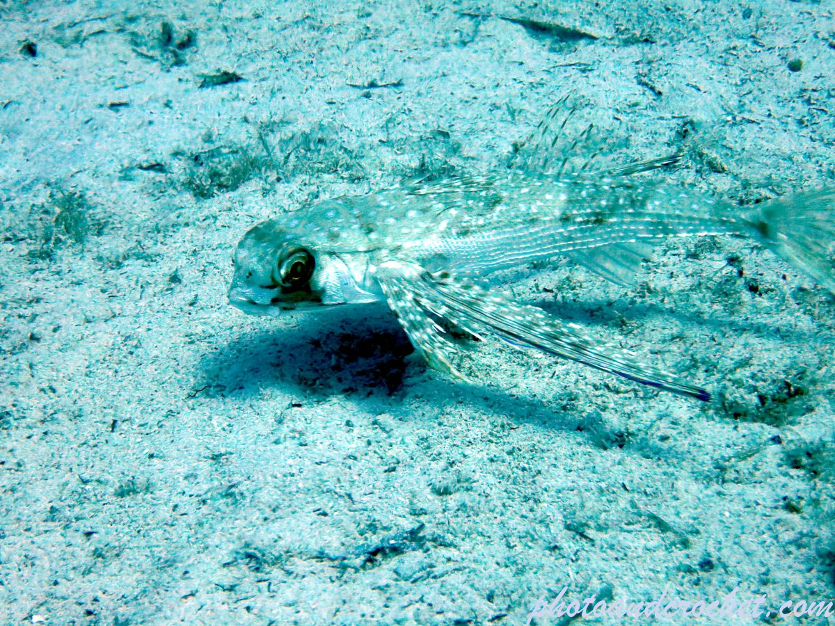 68c6faa33356c_img_6157_uw_080925