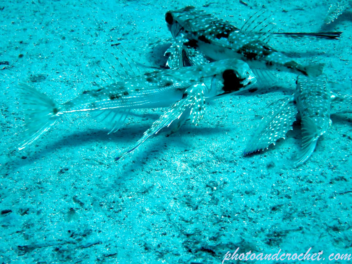 68c7033f60d23_img_6158_uw_080925