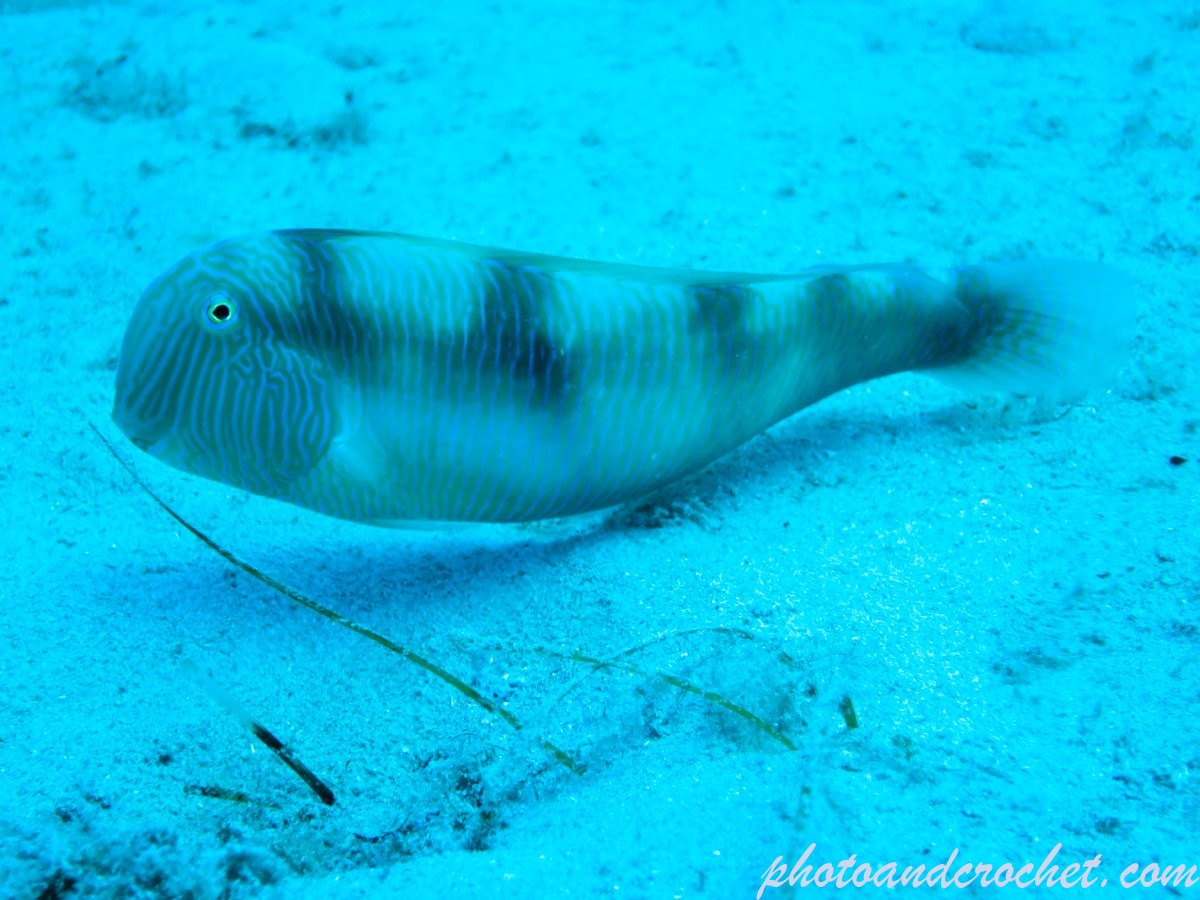 68dd6e7b6f828_img_6180_uw_120925