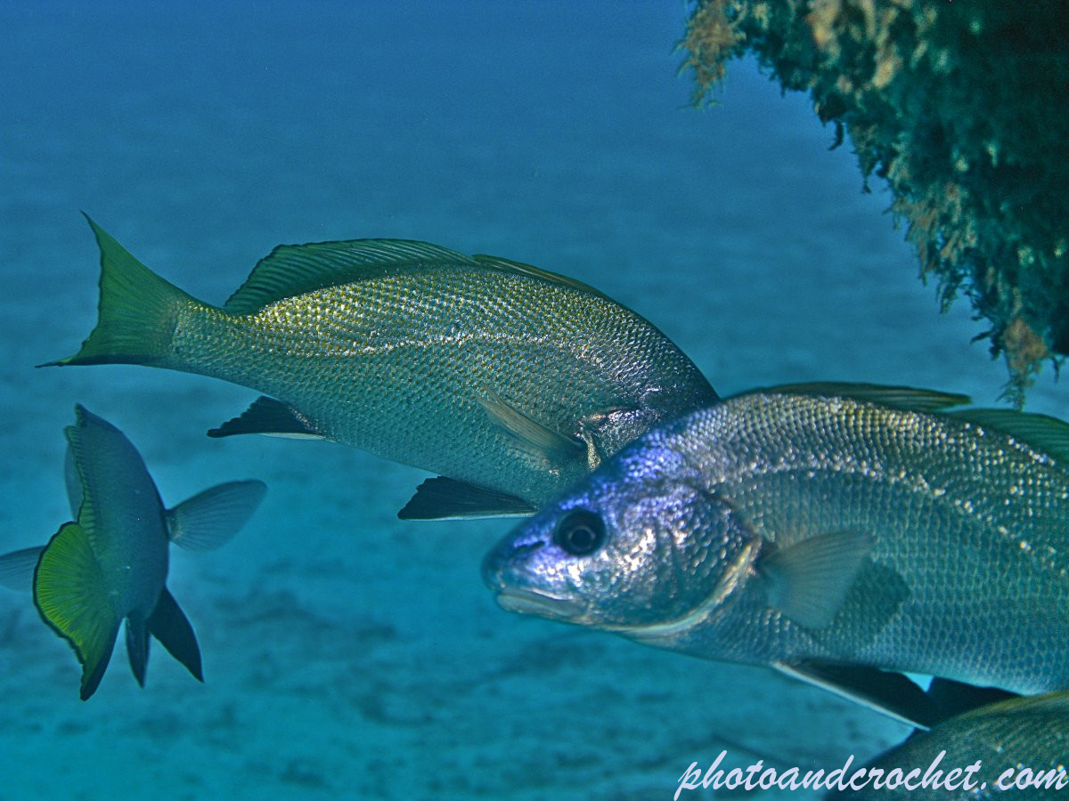 6921b6d43079f_img_0014_uw_211125