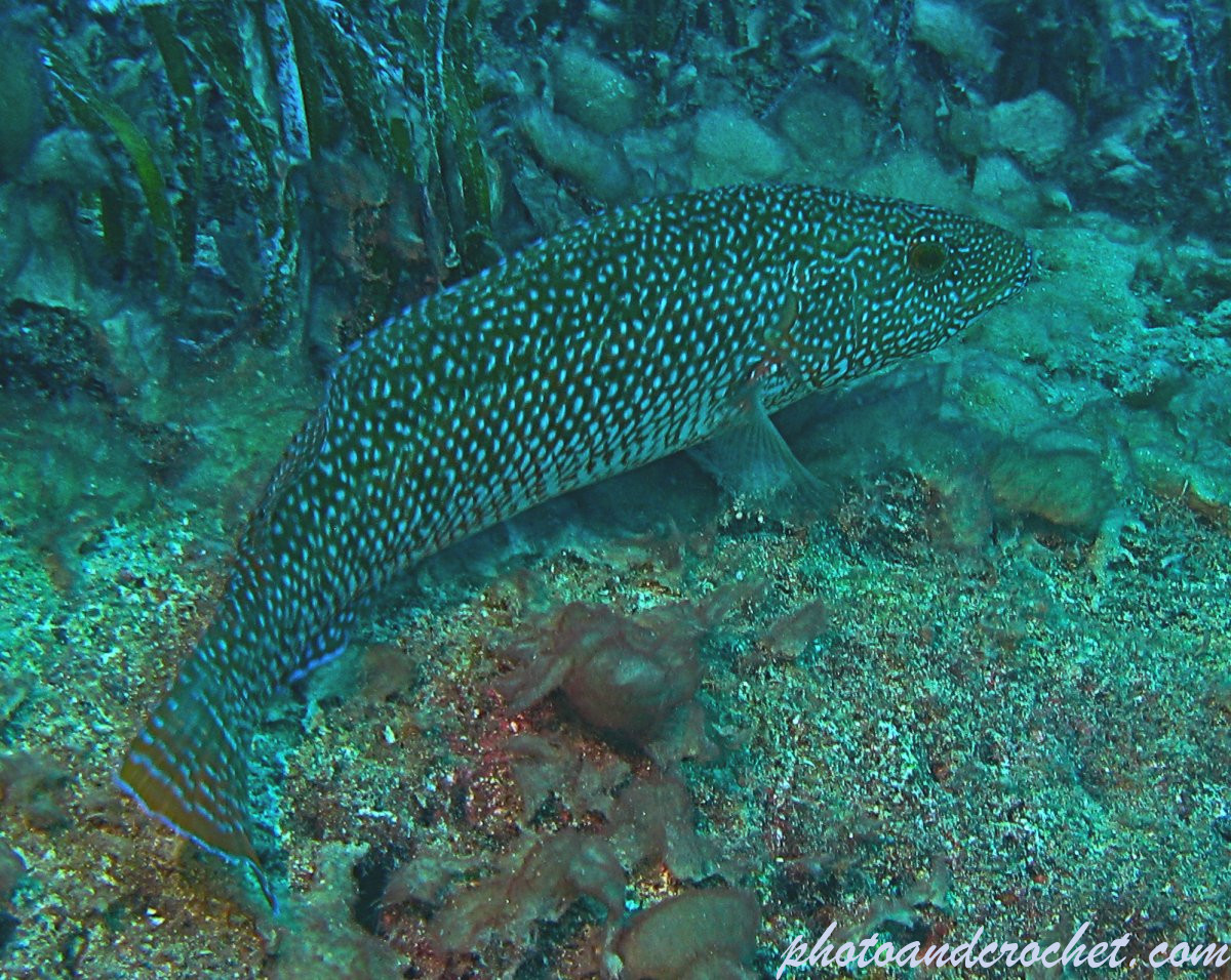 6921bf4500afe_img_0005_uw_211125