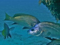 6921b6d43079f_img_0014_uw_211125