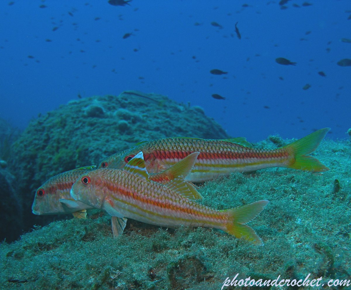 6930939d6230c_img_0051_uw_011225