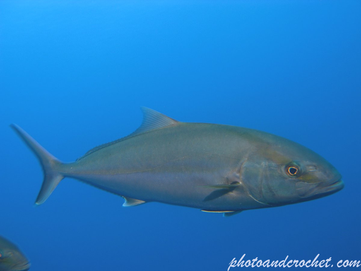 6940431c977a9_img_0067_uw_151225