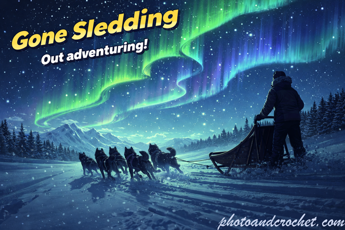 6941a27be3e8a_gonesleddingnorthernlights_161225