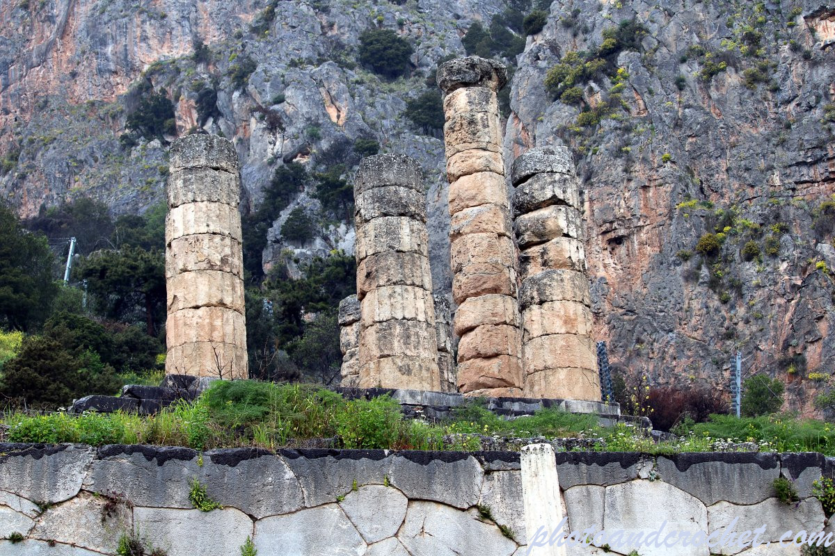 69c65e7f8162a_img_2313_pl_17326