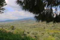 69de852ac040d_img_2609_pl_210326