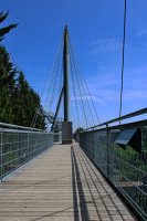 Treetop Bridge at Skywalk Allgäu