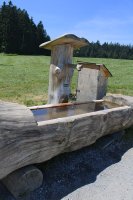 Abreuvoir en Bois près du Skywalk Allgäu